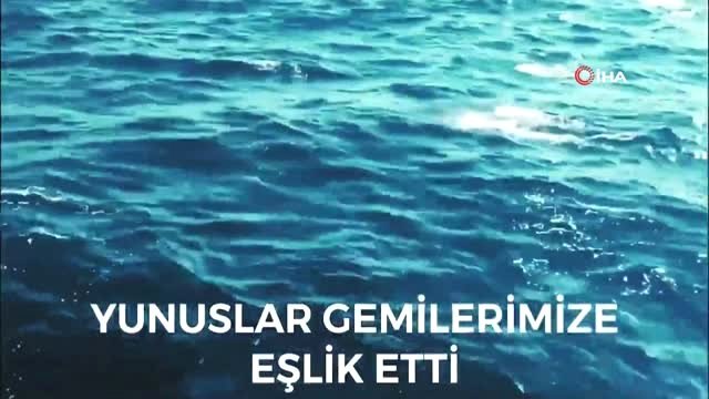 Msb'den Denizdeki Canlılarla Dostluğun İspatı