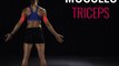 Moves and Muscles: Triceps Dip