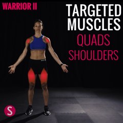 Moves and Muscles: Warrior 2