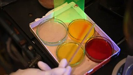 Georgia quiere plantar viñas en Marte