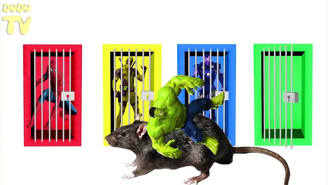 learn color with Dame Tu Cosita #100 كرتون بالعربى جاد وعصومي براعم الجنة جاد وإياد طيور الجنة