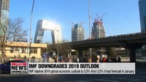 IMF slashes 2019 global economic outlook to 3.3% from 3.5% it had forecast in January