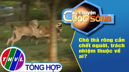 Chó thả rông cắn chết người, trách nhiệm thuộc về ai?