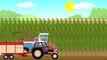 Tractor - Farm Work | Corn Cutting Machine | Tales of Tractors - Tractors and machinery for corn
