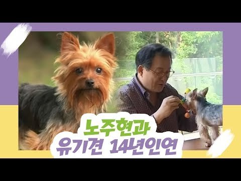 노주현, 유기견과의 14년 인연 [오 마이 펫] 1회