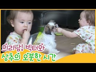 의리남! 빅터와 상추의 오붓한 시간 [땡큐 베이비 독] 3회