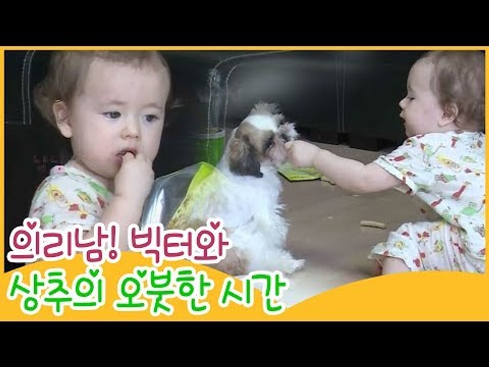 의리남! 빅터와 상추의 오붓한 시간 [땡큐 베이비 독] 3회