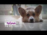 반려동물 전문채널 skyPetpark 개국 특집 이벤트!!!