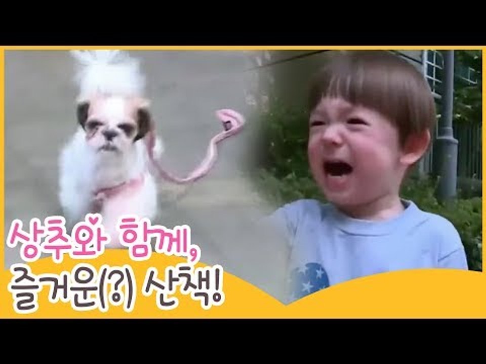 상추와 함께하는 즐거운(?) 산책 [땡큐 베이비 독] 1회