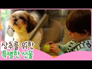 상추를 위한 특별한 선물 [땡큐 베이비 독] 5회