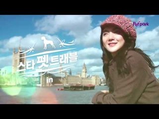 스타 펫 트래블 바다 in UK [ Star Pet Travel in UK ]