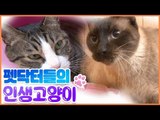 펫 닥터들의 내 인생의 고양이 [펫 닥터스] 5회