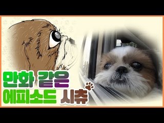 툭하면 톡하고? 만화 같은 에피소드 시츄 [펫 닥터스] 6회