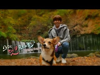 스타 펫 트래블 광희 in Japan [ Star Pet Travel in Japan ]
