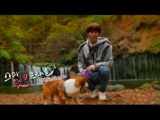 [1회 예고] 광희와 쿠루의 힐링여행 [스타 펫 트래블 광희 in Japan]