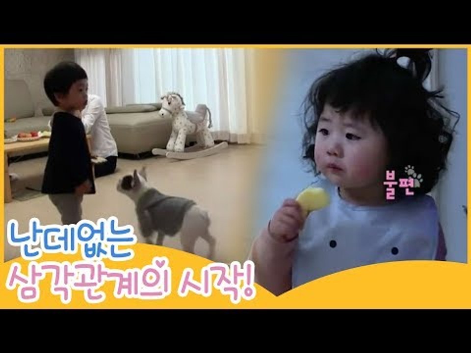 난데없는 삼각관계의 시작! [땡큐 베이비 독] 10회