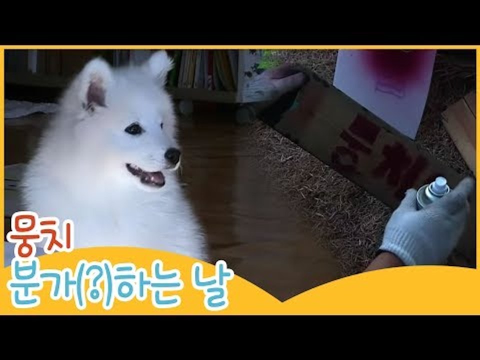 뭉치, 분가(?)하는 날 [땡큐 베이비 독] 10회
