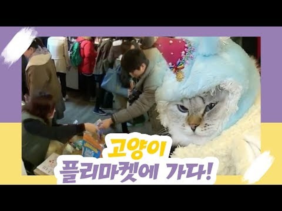김종서, 고양이 플리마켓에 가다 [오 마이 펫] 11회