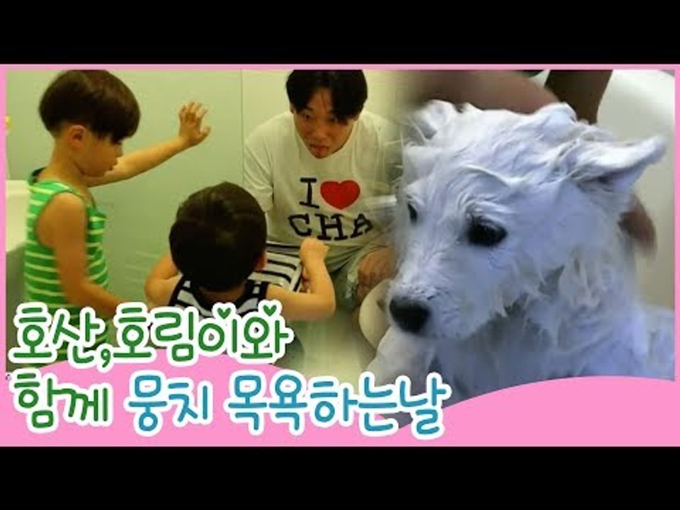 뭉치, 호산·호림이와 함께 목욕하는 날 [땡큐 베이비 독] 8회