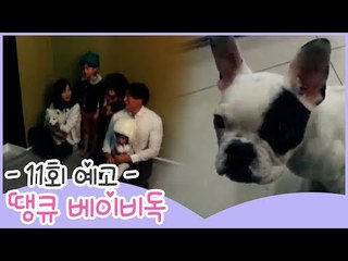 [11회 예고] 땡큐 베이비 독, 시끌벅적 호호루네 가족사진 현장!