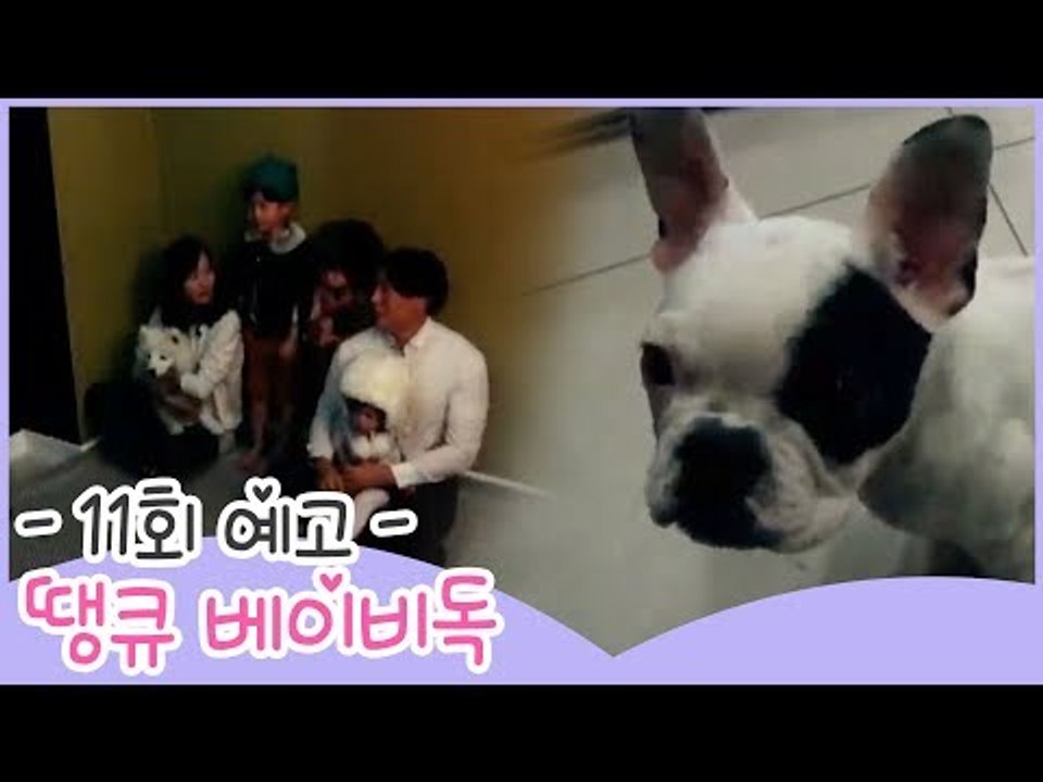 [11회 예고] 땡큐 베이비 독, 시끌벅적 호호루네 가족사진 현장!