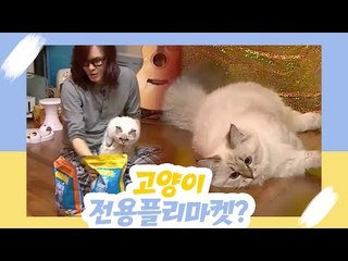 고양이 전용 플리 마켓? [오 마이 펫] 10회