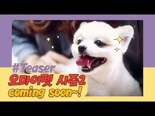 [예고] 스카이펫파크 ‘오 마이펫 시즌2’ Coming Soon!