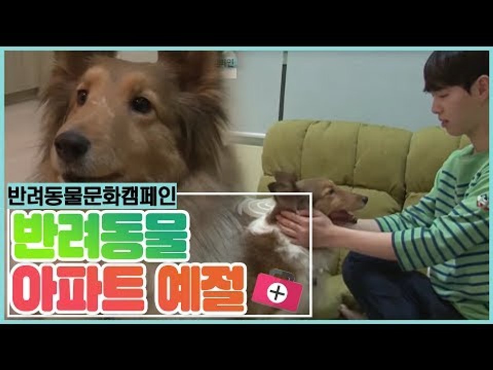 함께해요 반려동물 캠페인, 아파트 예절 [펫 닥터스 시즌2] 2회