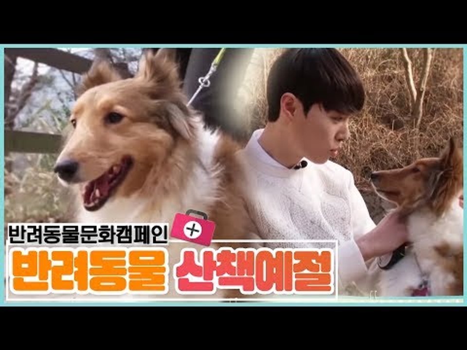 함께해요 반려동물 캠페인, 산책예절 [펫 닥터스 시즌2] 1회