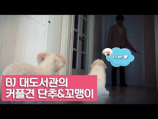 BJ 대도서관의 커플견 단추&꼬맹이 [여자친구! 강아지를 부탁해] 5회