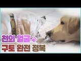 천의 얼굴 구토 완전 정복 [쳇 닥터스 시즌2] 8회