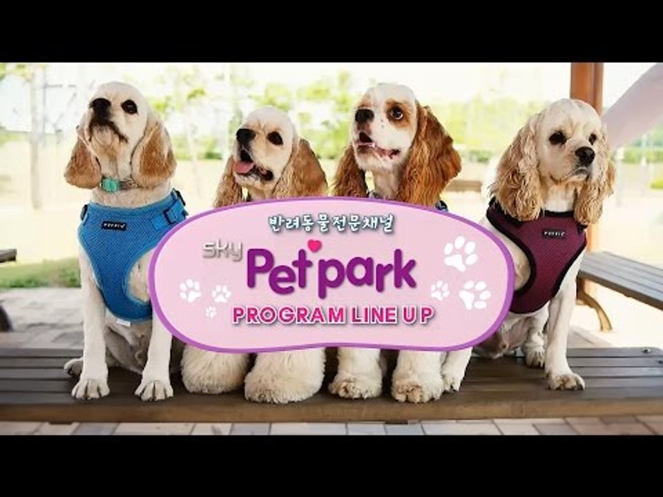반려동물 전문 채널 skyPetpark 라인 업!!