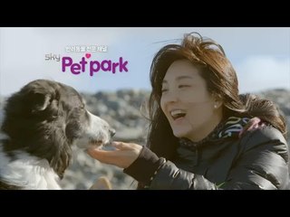 반려동물 전문 채널 skyPetpark
