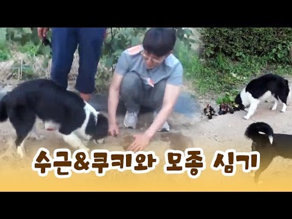 윤형빈, 수근&쿠키와 모종 심기 [윤형빈의 팔도견문록] 11회