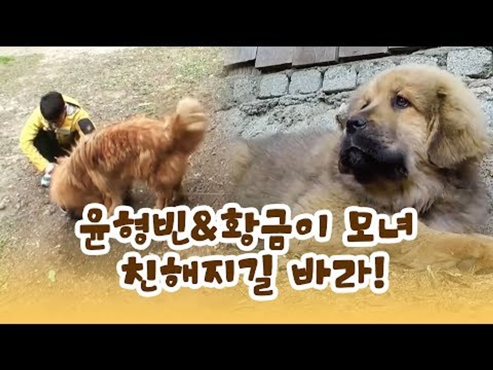 윤형빈&황금이 모녀, 친해지길 바라! [윤형빈의 팔도견문록] 2회