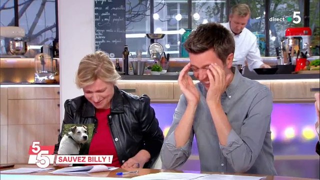 Fou rire sur le plateau de C à vous quand Maxime Switek évoque l'histoire de Billy le chien - Regardez