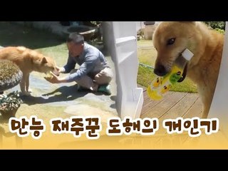 만능 재주꾼 도해의 개인기 퍼레이드 [윤형빈의 팔도견문록] 3회