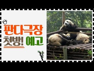 [예고] 판다극장, 6월 12일 (금) 밤 11시 첫방송
