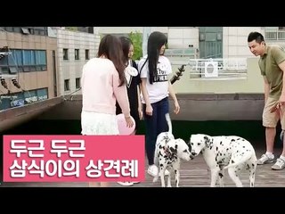두근두근~ 삼식이의 상견례 [여자친구! 강아지를 부탁해] 8회