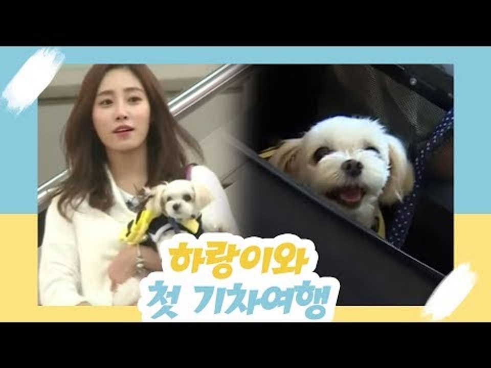 최희, 하랑이와의 첫 기차 여행 [오 마이 펫 시즌2] 11회