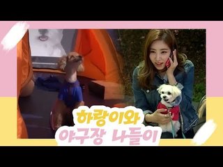 최희, 하랑이와 야구장 나들이 [오 마이 펫 시즌2] 10회