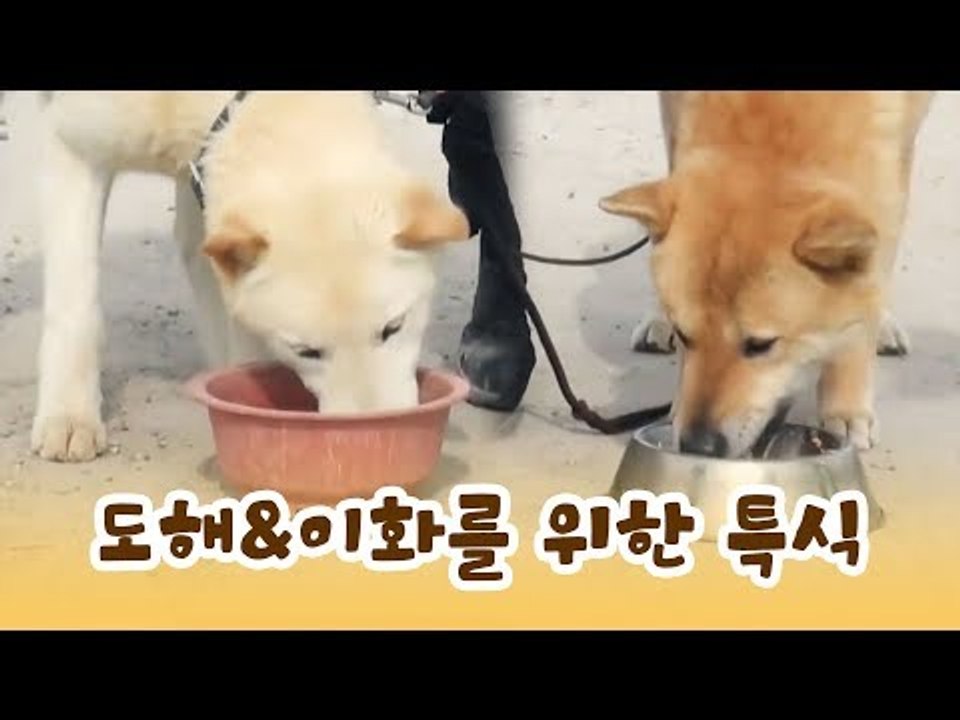도해&이화를 위해 준비한 윤형빈의 특식 [윤형빈의 팔도견문록] 4회