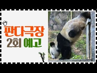 [2회 예고] 판다극장, 6월 19일 (금) 밤 11시