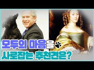 [10회 예고] 펫 닥터스 시즌2, 6월 3일 (수) 밤 11시