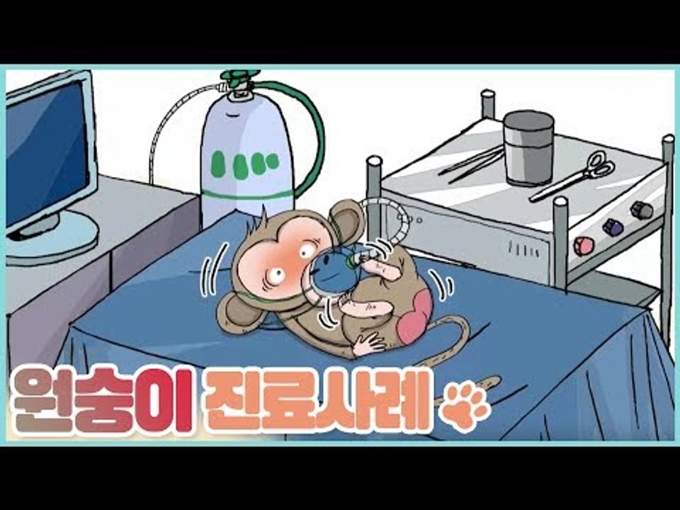 특수 반려동물 원숭이 진료 사례 [펫 닥터스 시즌2] 11회