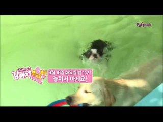[10회 예고] 여자친구! 강아지를 부탁해, 6월 16일 (화) 밤 11시