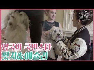 영국의 국민스타 펏지&에슐리를 만나다 [스타 펫 트래블 바다 in 영국] 2회