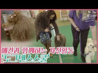 애견과 함께하는 자선활동, 도그댄스 스쿨 [스타 펫 트래블 바다 in 영국] 2회