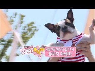 [9회 예고] 여자친구! 강아지를 부탁해, 6월 9일 (화) 밤 11시