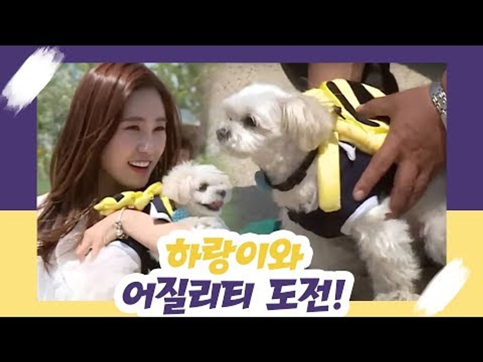 최희, 하랑이와 어질리티 도전! [오 마이 펫 시즌2] 12회